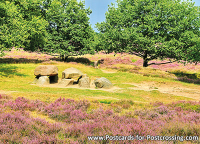 dolmen in Gasterse duinen postcard