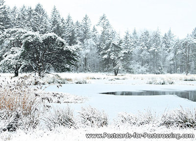 Winter landscape postcard