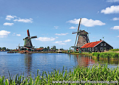 Zaanse Schans postcard