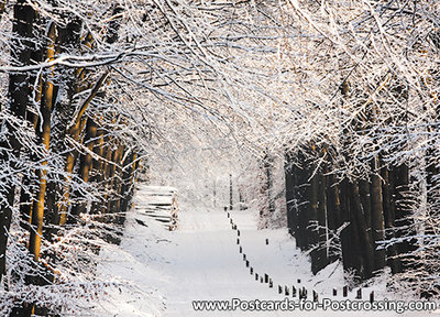 Winter lane postcard