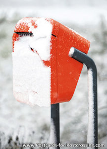 Dutch mailbox in the snow postcard