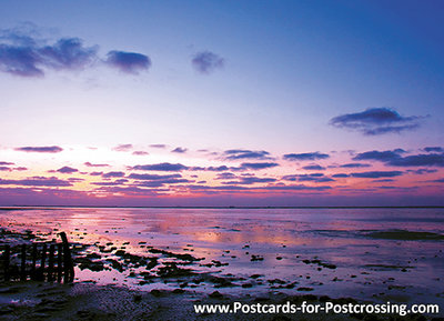 UNESCO WHS postcard Wadden sea