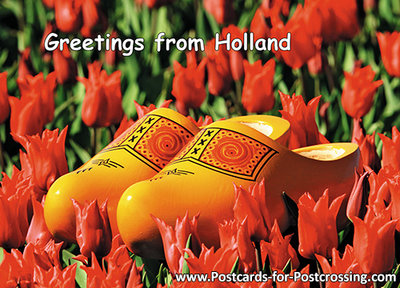 Clogs in a red tulip field postcard