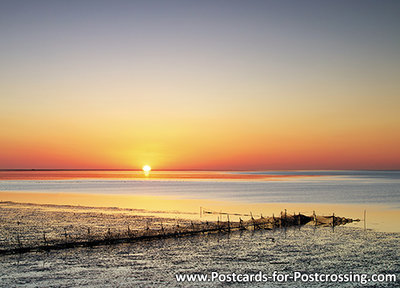 Wadden sea postcard