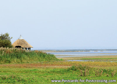 Postcard Lauwersmeer