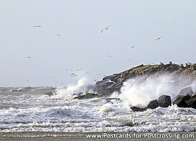 Postcard beach and sea in IJmuiden