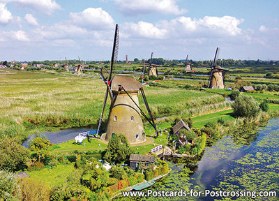 postcard mills from Kinderdijk