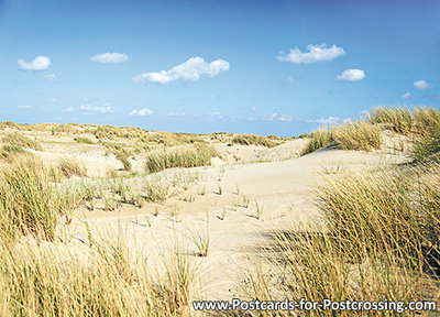 dunes postcard