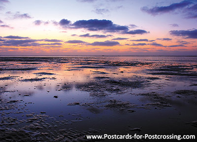 postcard Wadden sea