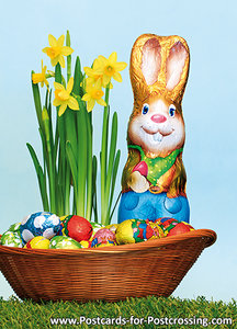 Easter bunny postcard