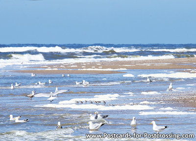 Beach and sea postcard