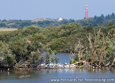 Lighthouse Schiermonnikoog postcard