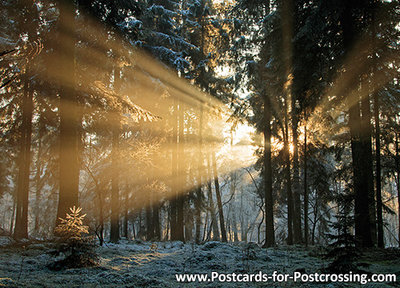 Postcard sunset Dwingelderveld