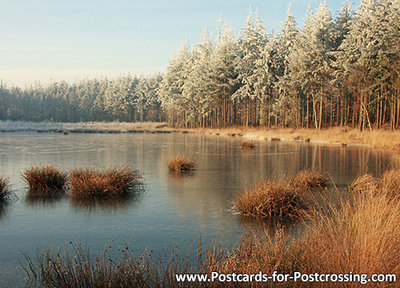 Winter landscape postcard