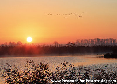 Postcard sunrise de Onlanden