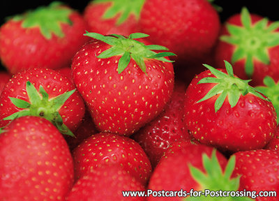 Strawberries Postcard