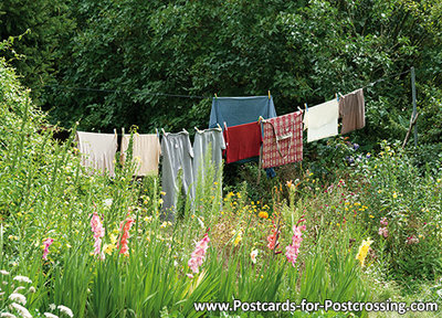 Postcard washing line