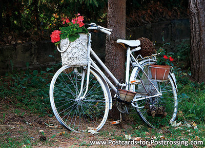 Postcard bicycle