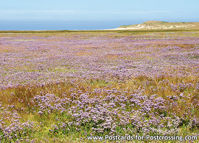 The Slufter - Texel postcard