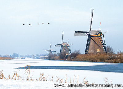 Mills of Kinderdijk postcard