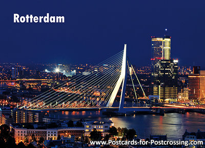 Rotterdam -  Erasmus bridge postcard