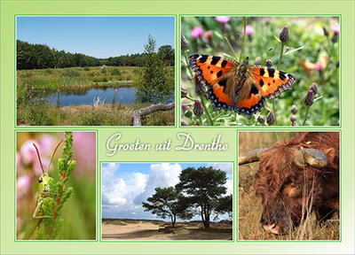 Postcard greetings from Drenthe