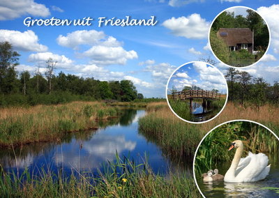 Postcard Friesland 005