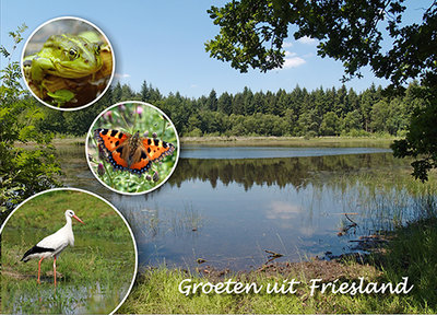 Postcard Friesland 001