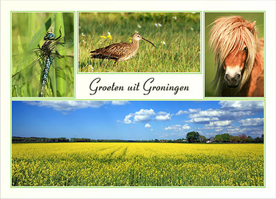Postcard greetings from Groningen