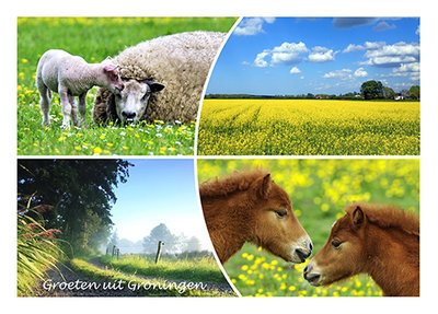 Postcard greetings from Groningen