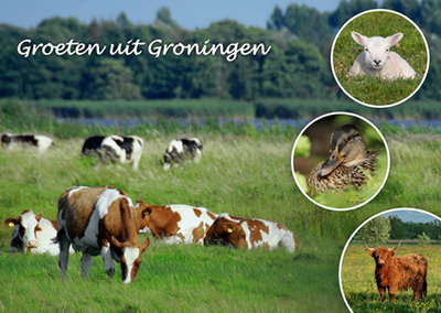 Postcard greetings from Groningen