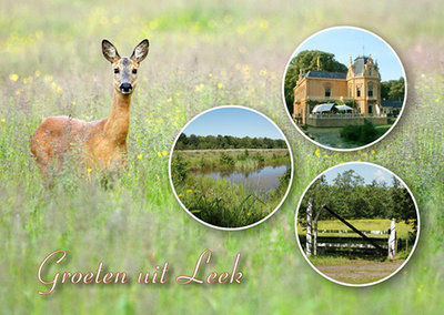 Postcard Leek 001