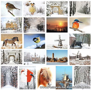 Winter postcard set