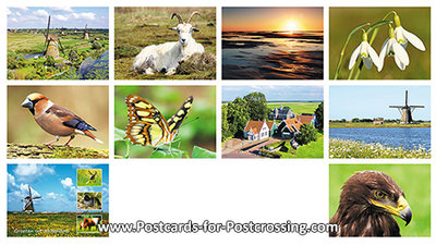 Postcard set Dutch