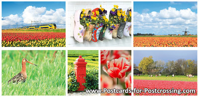 Postcard set Dutch