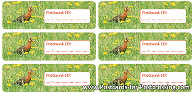 Postcrossing ID sticker godwit