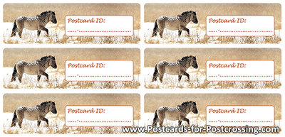 Postcrossing ID sticker Konikhorse