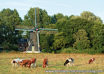 Postcard Schoterveense mill Haarlem