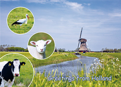 Postcard Greetings from Holland 001