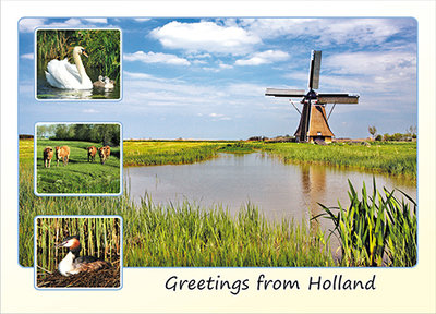 Postcard Greetings from Holland 002
