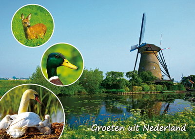 Postcard Groeten uit Nederland 003