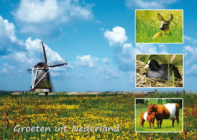 Postcard Groeten uit Nederland 004