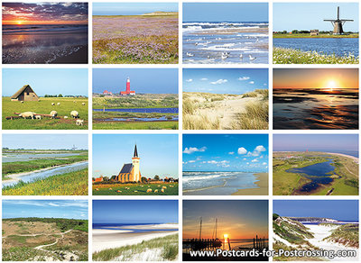 Texel postcard set