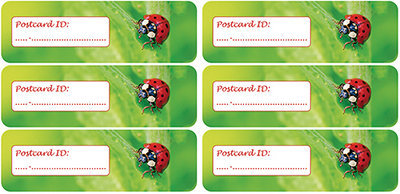 Postcrossing ID sticker ladybug