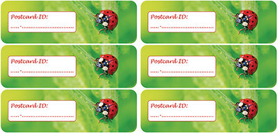 Postcrossing ID sticker ladybug