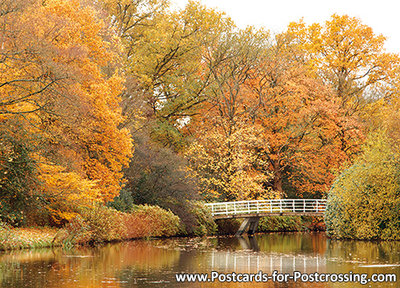 Autumn postcard  - bridge