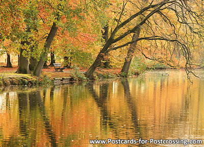 Autumn postcard - bench