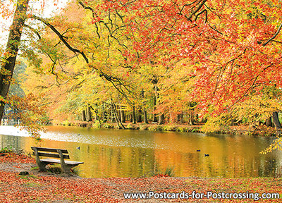 Bench in autumn postcard