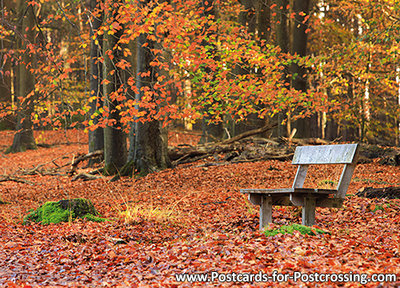 Autumn postcard - bench