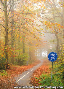 Bicycle path in the autumn postcard